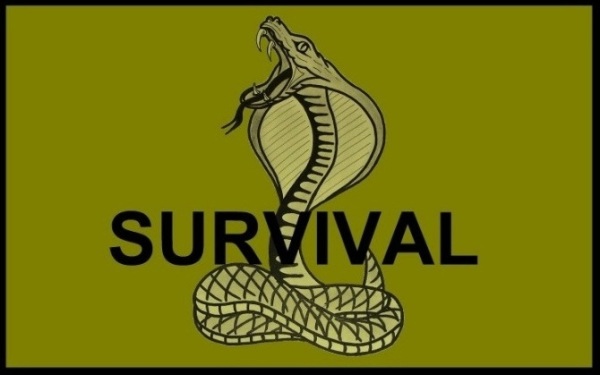 Strona główna - SURVIVAL F. P. H. Barbara Magierek